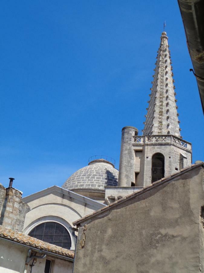 Le Lapin Blanc Lägenhet Saint-Rémy-de-Provence Exteriör bild