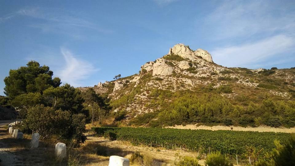 Le Lapin Blanc Lägenhet Saint-Rémy-de-Provence Exteriör bild