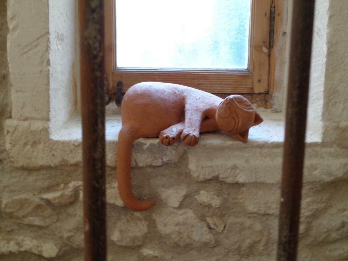 Le Lapin Blanc Lägenhet Saint-Rémy-de-Provence Exteriör bild